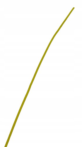 be17c71847b3b62067d77d82b49a