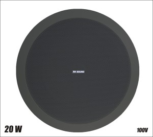 Głośnik TZ-805T-2/B