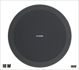 Głośnik TZ-605T-2/B